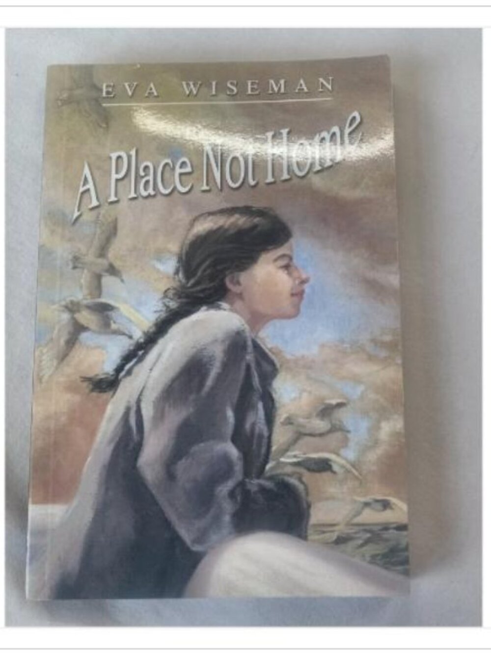 Ex-Library - A Place Not Home Eva Wiseman 2004 2004 Edition Paperback Book Read